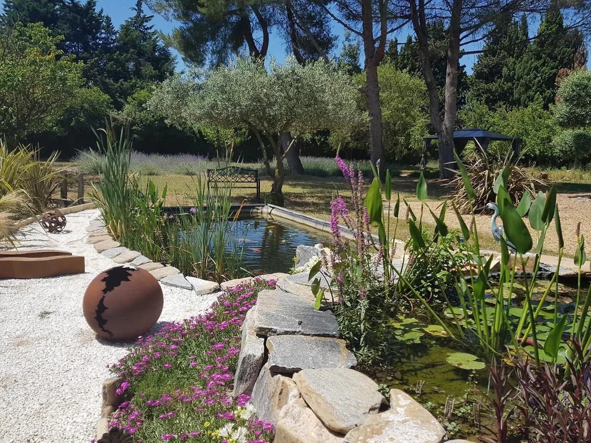 Le Clos Des Cypres Maison D'Hotes De Charme - Diner Gourmet & Bien-Etre Graveson
