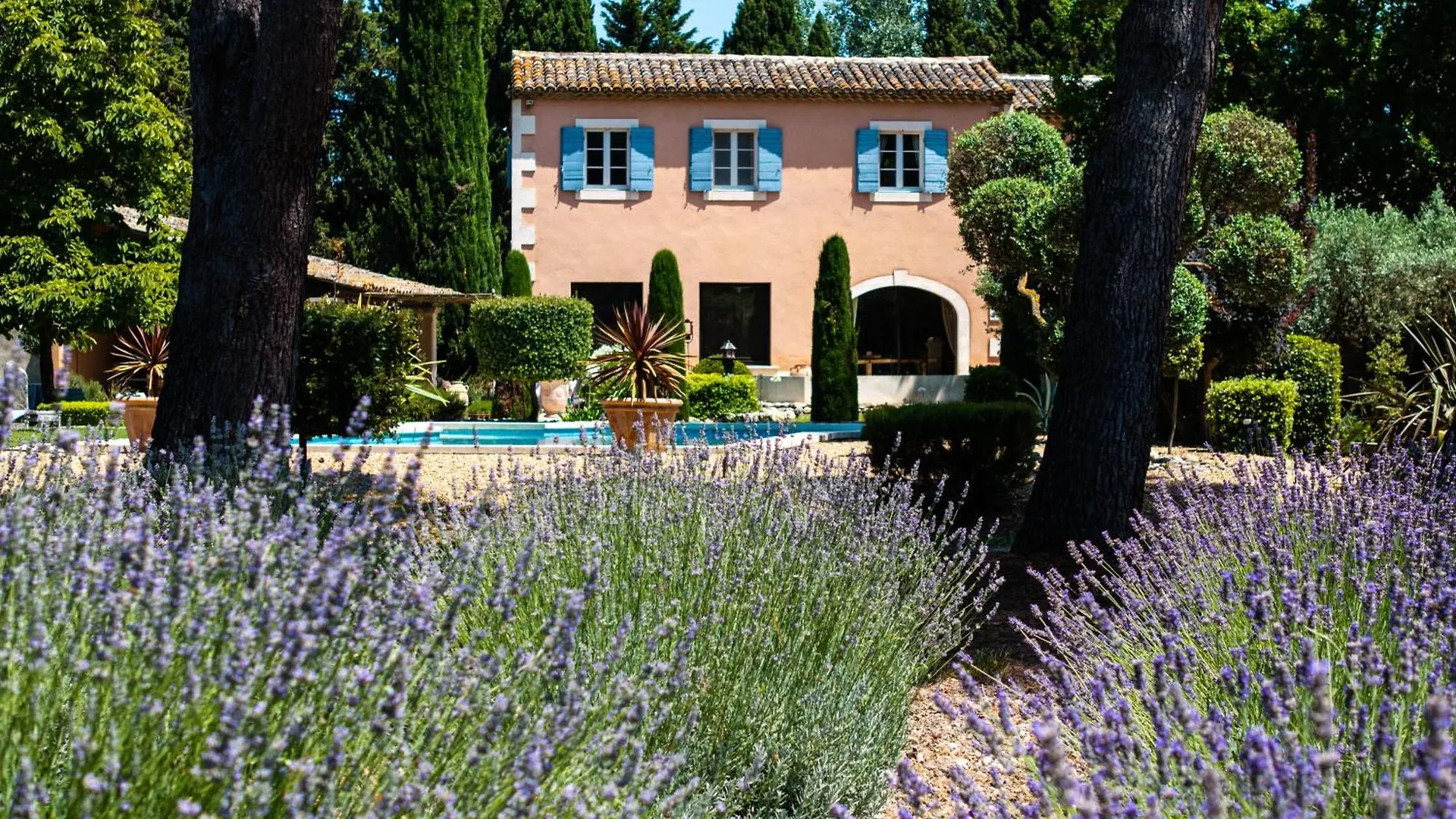 Le Clos Des Cypres Maison D'Hotes De Charme - Diner Gourmet & Bien-Etre Graveson Francja